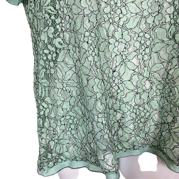 Ann Taylor Loft Green Lace Short Sleeve Sheer Dainty Floral Top Shirt Blouse  M - Picture 4 of 16